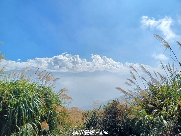 【嘉義梅山】悠閒踏青趣。 雲嘉大尖山、二尖山步道2447276