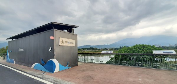 2024-12-21臺北大縱走第八段：捷運動物園站至捷運關渡站[河濱自行車道]2675300