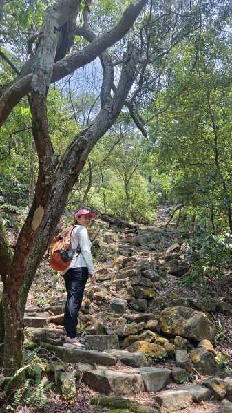 (姨婆趴趴走)第五十四集:攀登台北內湖剪刀石山、金面山2775888