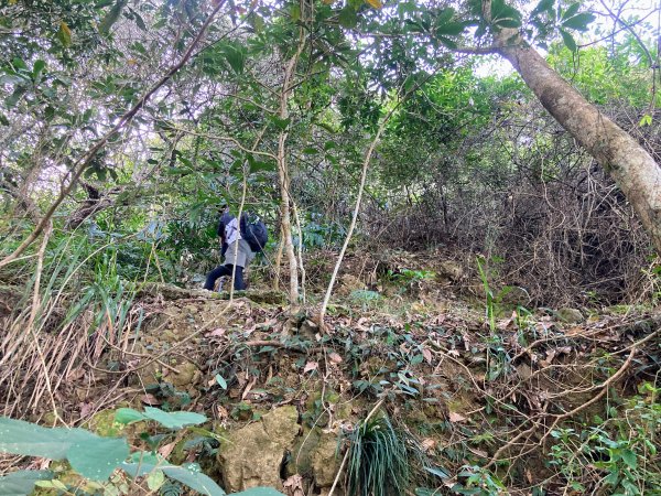 九份二山登山步道2688037