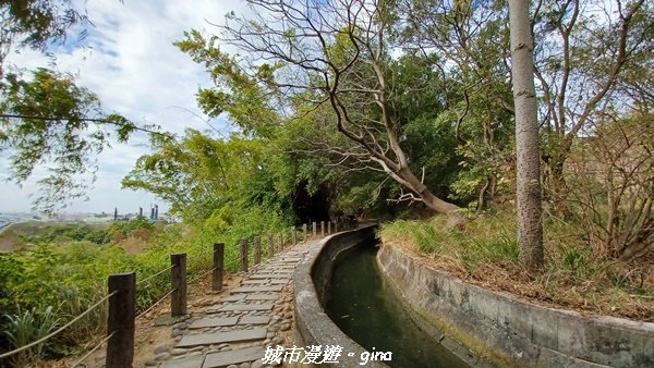 【台中烏日】180度好展望。 知高圳步道x雪蓮步道x學田山2032243