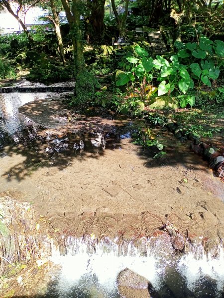 悠遊陽明山前山公園、紗帽山1846195