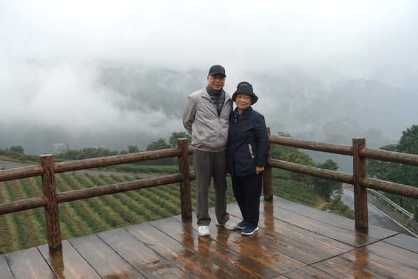 南山寺觀景台3086097