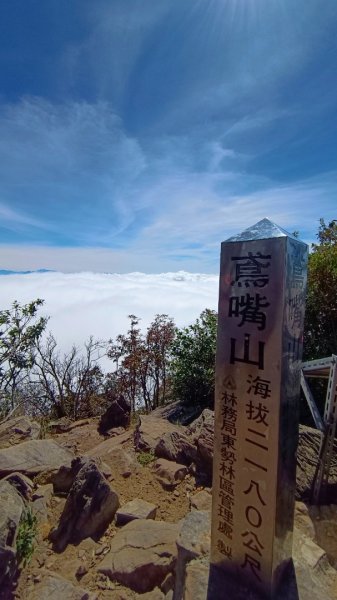 鳶嘴山美呆了~滿滿的雲海~1884284