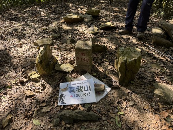 南真我山 & 真我山 & 真我山北峰 & 五公山 (20260215)3000604