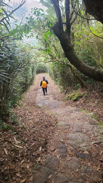 2026-0116 大屯三山_貴子坑_北投2984717