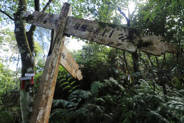 篳路藍縷之直潭山系縱走1233171