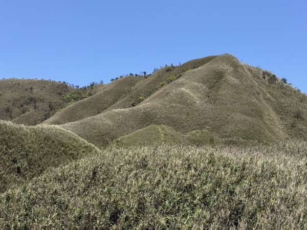 2025/03/21 聖母山莊 抹茶山 三角崙山2935120