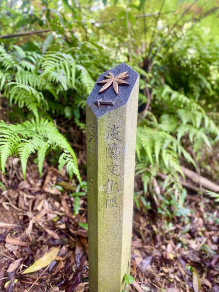 【淡蘭古道尋寶任務】淡蘭南路第一段-捷運六張犁站至樹梅古道