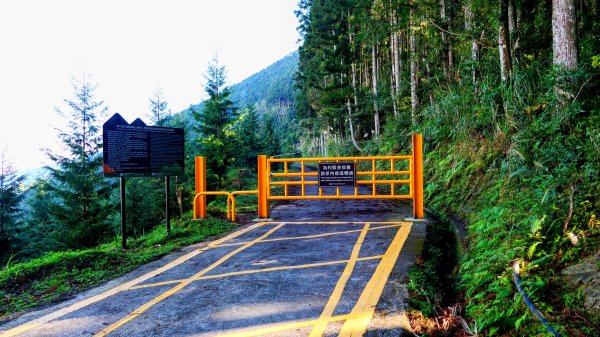 油羅山(一上三下)2959118