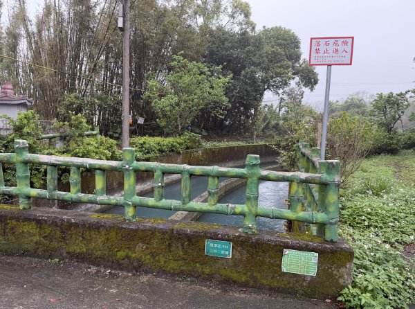 [樟之細路_第一大段RSA05] 2026_0329 石門大圳3027185