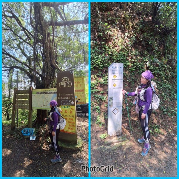 樟之細路-尋寶💎任務1-53019778