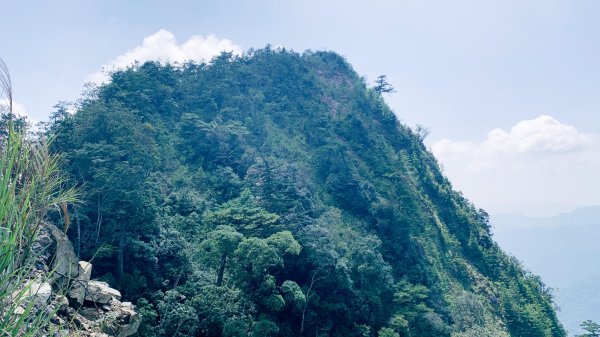 屋東縱走稜線之美。視角的轉換，同一座山也能給人截然不同的感受。(快樂腳攀登谷關七雄行)1837703