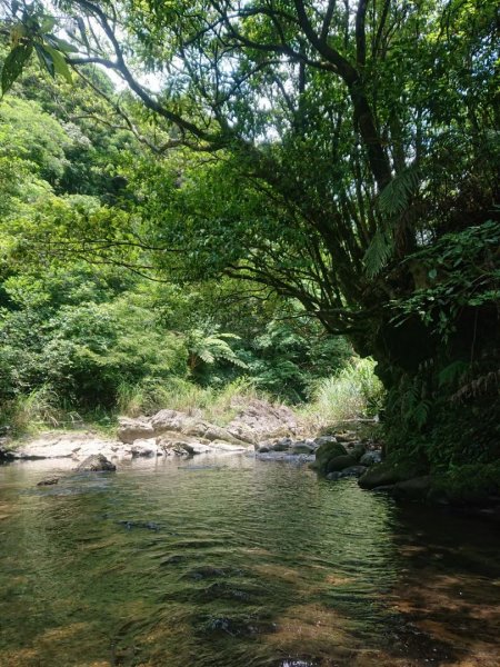 淡蘭烏山古道西段、網形山O走1434243