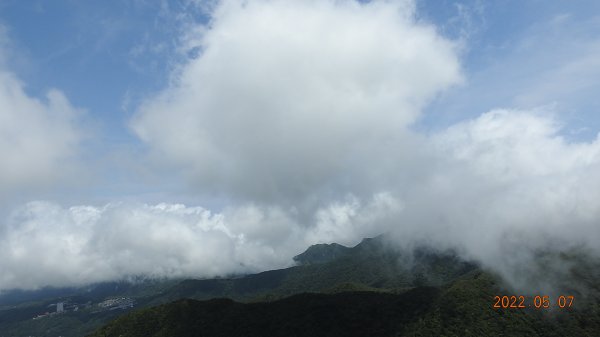 雲山水花鳥蝶 - 天龍國阿伯的日常5/71704640