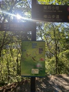 1120710觀霧國家森林風景區2938295