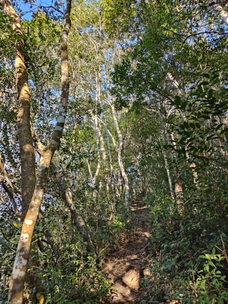 2024.02.01 凌空廊道登煤源山2843952