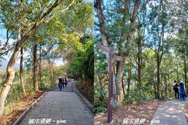 【南投埔里】天旨宮鰲頭山步道x虎頭山鯉魚潭步道x虎頭山觀景平台連走2988492