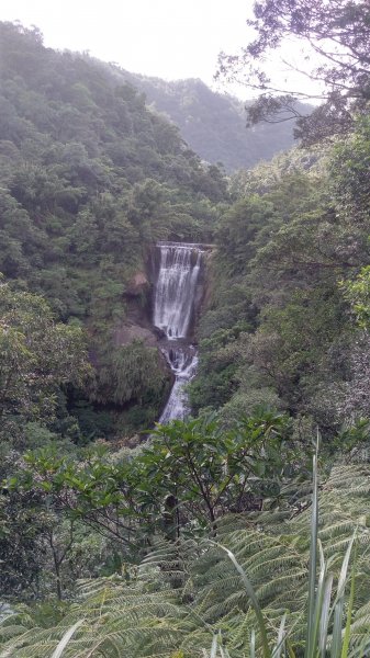 三貂嶺瀑布群步道417241