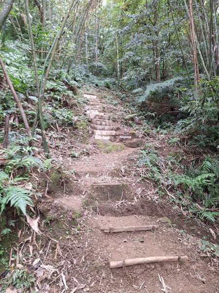 頭寮山+總督府步道+舊百吉隧道O型202412102667886