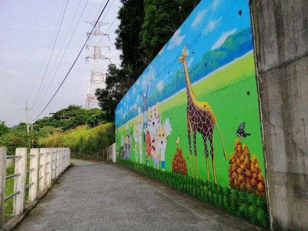 散步賞景。編號46小百岳~阿罩霧山752799