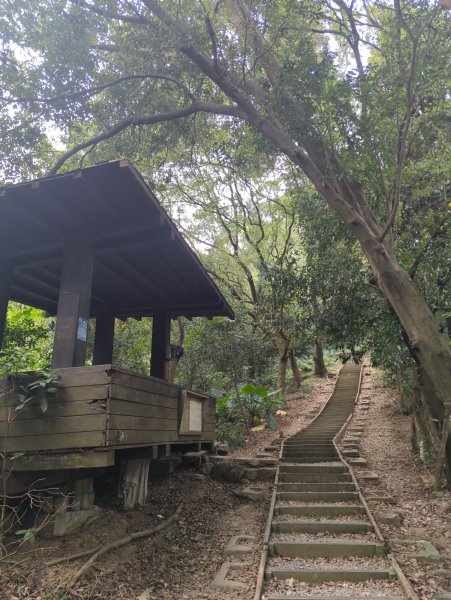 2025.08.30－微笑山線：【大棟山系】2874479