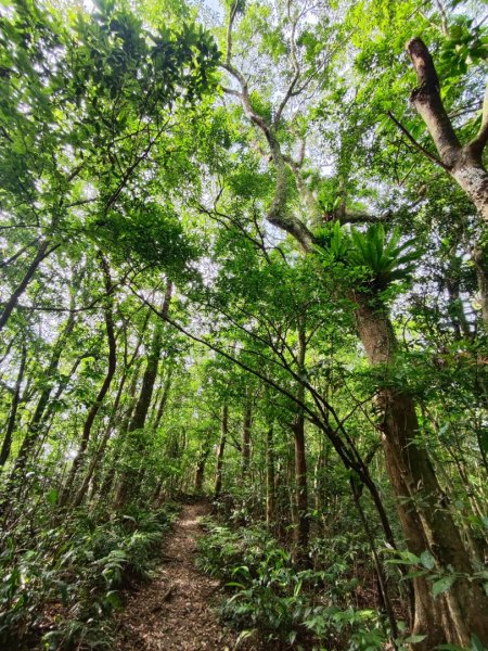 石碇鱷魚島-草湳二格山2786753