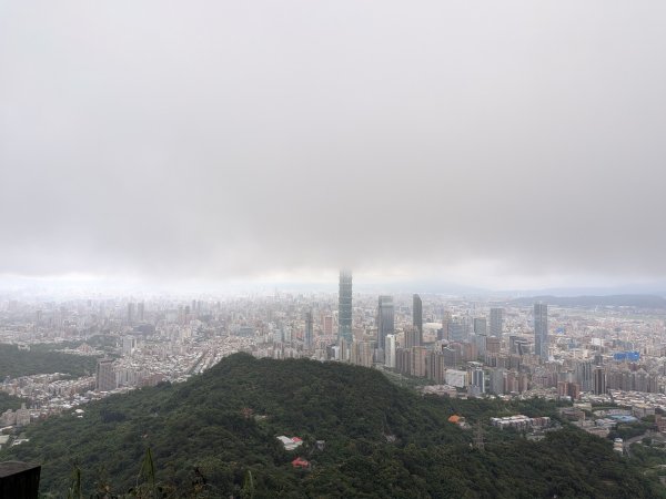 2025-05-17 三進三出九五峰 (象山、中華科大、麗山橋)2796901