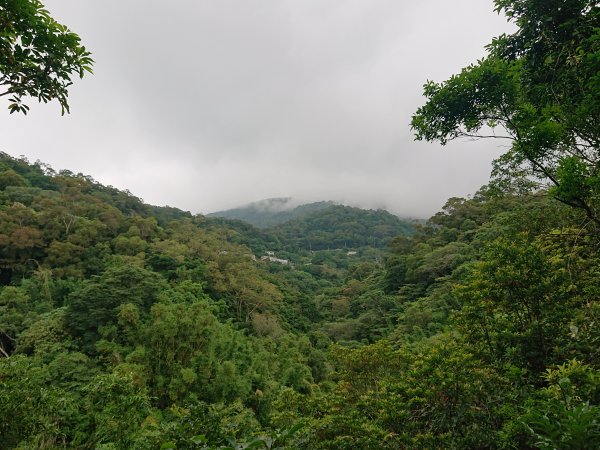 貴子坑親山步道1715224