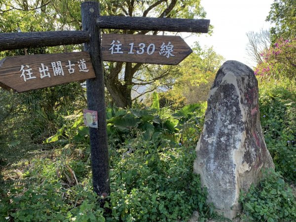 苗栗關刀山（小百岳）2039849