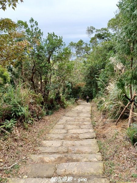 【台北。內湖】山頂好眺望。 小百岳集起來。 編號8小百岳大崙頭尾山親山步道1590491