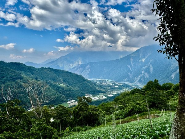 瞭望台-瓊山-望美山-獵人古道2886888