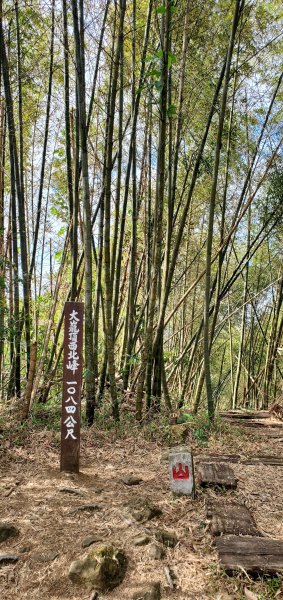 2025-01-19孝子路步道、大巃頂2694260