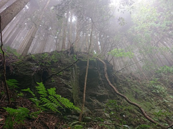 民都有山(面托油山)1499667