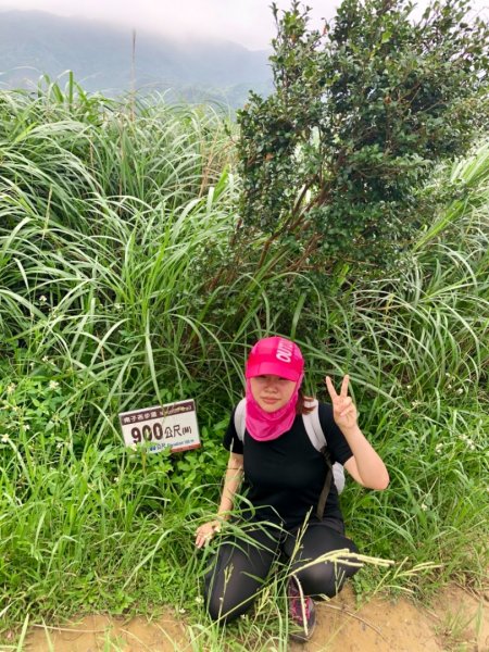 2019-06-05瑞芳南子杏登山步道598538