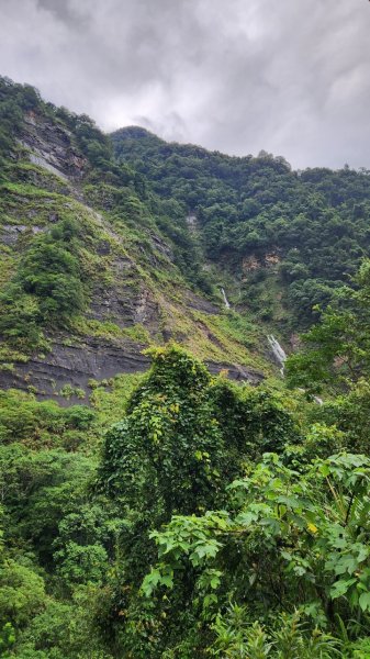 20230730 苗栗加里山午後雷陣雨篇（中級山小百岳）2235168