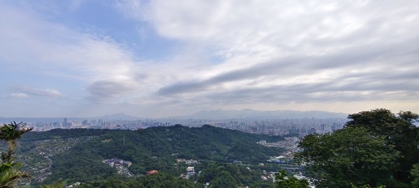 2025/05/31_烘爐地登山步道(南勢角山)2801421