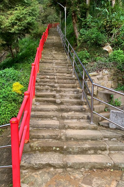 苗栗獅潭｜仙山登山步道｜穿過杉木小徑．遠眺綿延山峰1574402