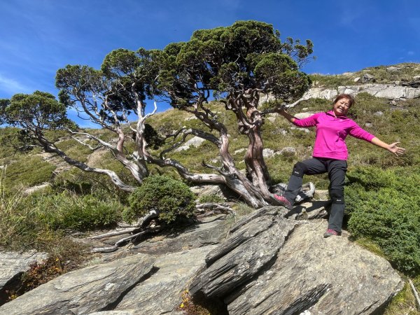 合歡山北峰2908744