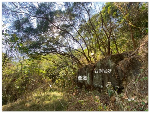 枋壁頂山 ㄚ遶新路線 ( 台中 后里 )3035692