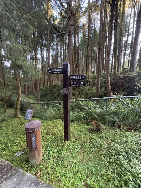 20251225塔山步道(大塔山)2970237