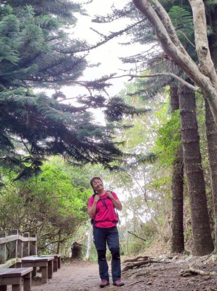 馬那邦山（珠湖登山口）2933931