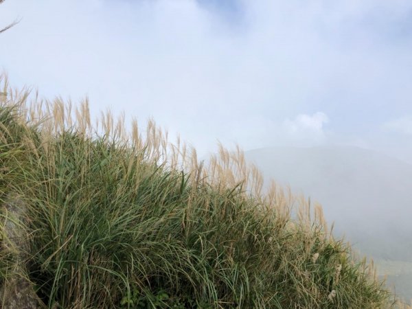 大屯山西峰542120