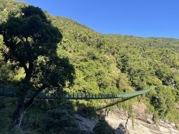 [玉山尋寶任務-03/12] 2025_0810 瓦拉米步道2857385