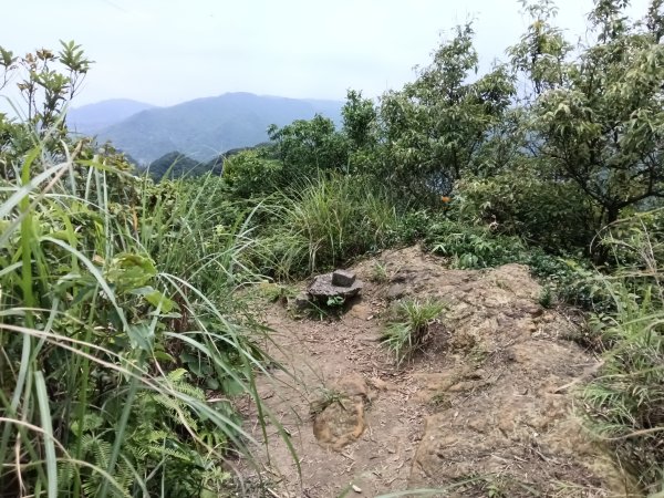 瑞芳區瑞芳四秀(白象山+秀崎山+瑞芳山+龍潭山)2785222