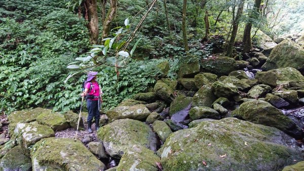 組合山連走滿月圓山O走1044581