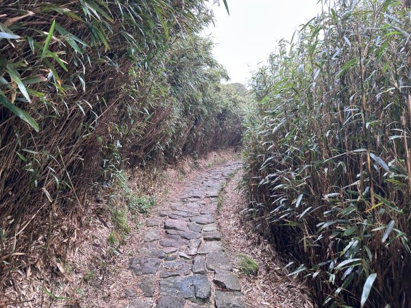 臺北大縱走第三四段2751119