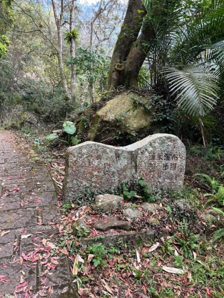 （雲林）草嶺蓬萊瀑布步道2721130