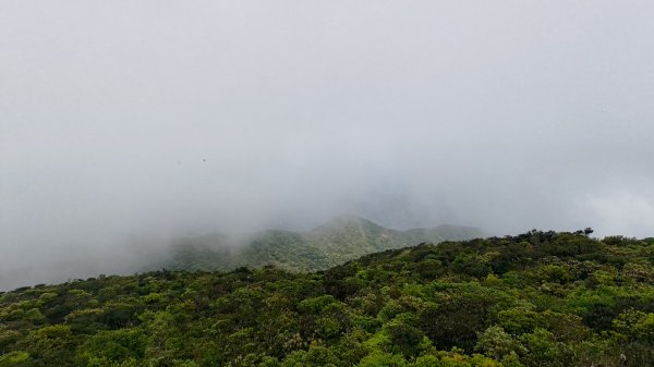 里龍山3038446