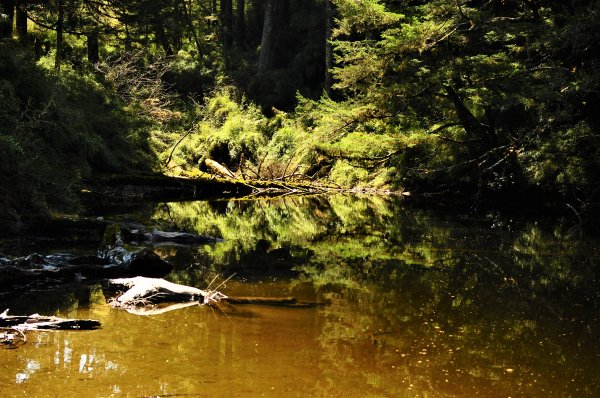 武法奈尾山天巒池872517